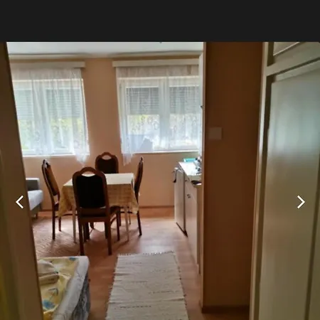 Apartment Zengo *